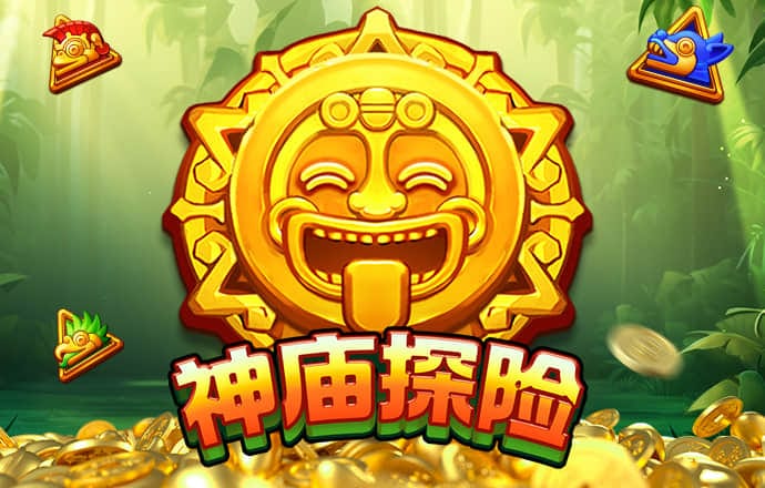 365速发平台注册